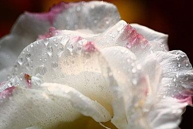 《Gluck》登陆Steam 2D矿井冒险经营新游